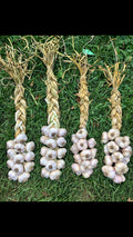 Organic Garlic Braids