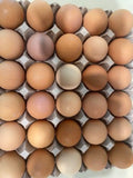 Local Farm Fresh Free Run Eggs