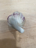 individual bulbs of garlic